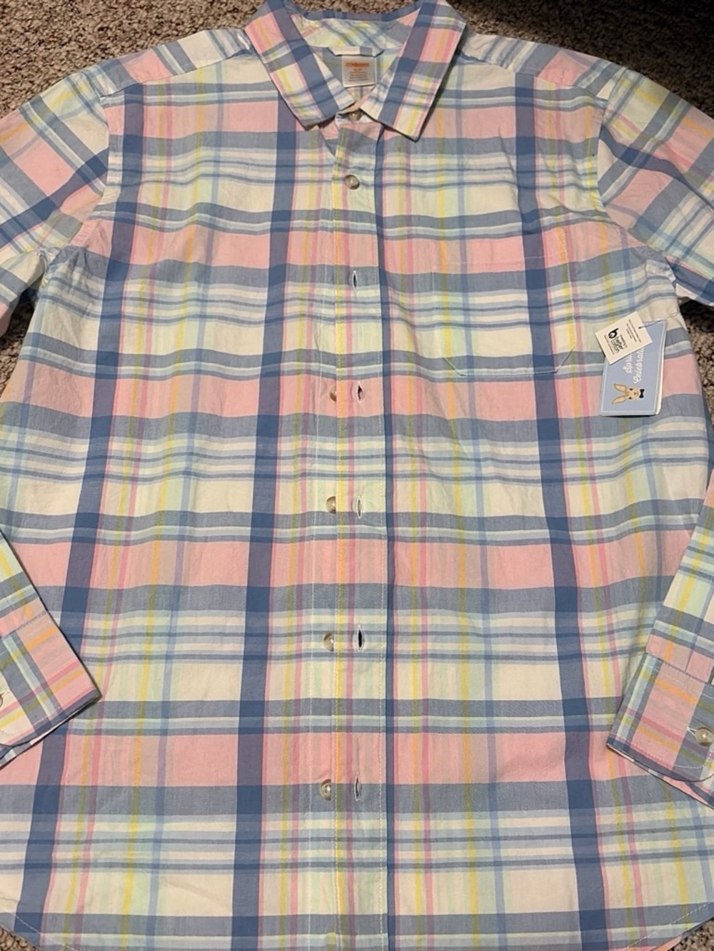 Men's Pastel Plaid Button-Down Shirt - Blue & Pink